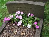 image of grave number 341880